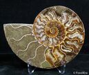 Inch Split Ammonite Pair #2636-3